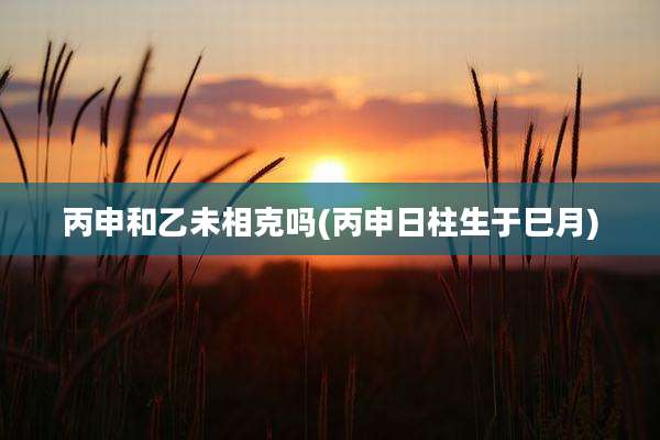 丙申和乙未相克吗(丙申日柱生于巳月)