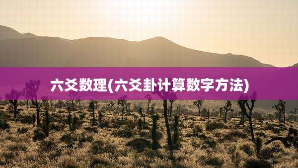 六爻数理(六爻卦计算数字方法)