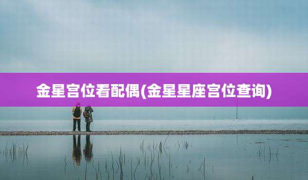 金星宫位看配偶(金星星座宫位查询)