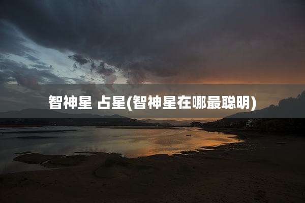 智神星 占星(智神星在哪最聪明)