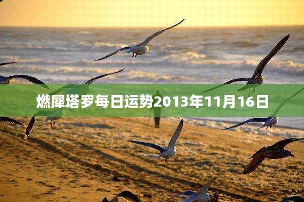 燃犀塔罗每日运势2013年11月16日