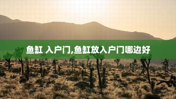 鱼缸 入户门,鱼缸放入户门哪边好