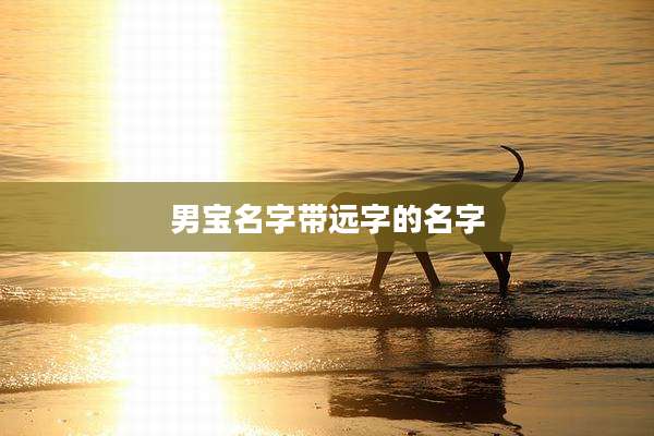 男宝名字带远字的名字