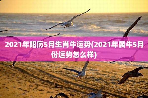 2021年阳历5月生肖牛运势(2021年属牛5月份运势怎么样)