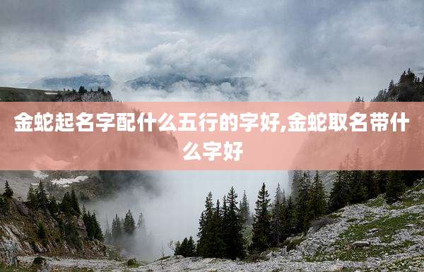 金蛇起名字配什么五行的字好,金蛇取名带什么字好