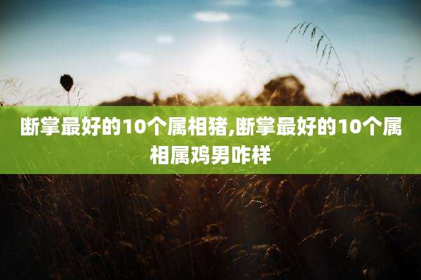 断掌最好的10个属相猪,断掌最好的10个属相属鸡男咋样