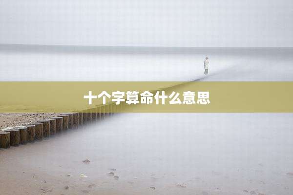 十个字算命什么意思