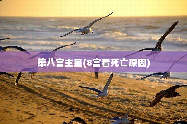 第八宫主星(8宫看死亡原因)