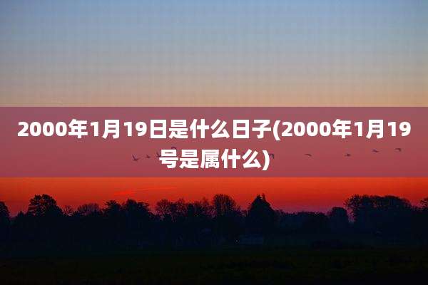 2000年1月19日是什么日子(2000年1月19号是属什么)