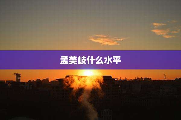 孟美岐什么水平