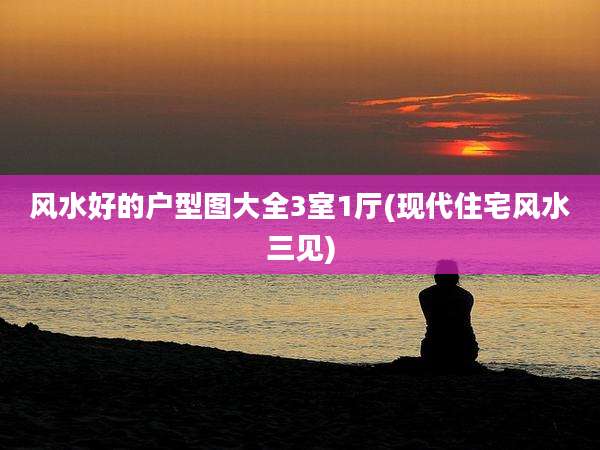 风水好的户型图大全3室1厅(现代住宅风水三见)