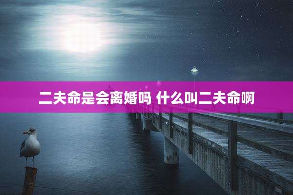 二夫命是会离婚吗 什么叫二夫命啊
