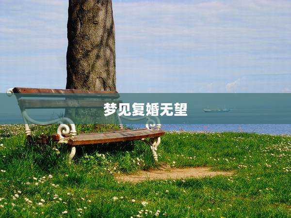 梦见复婚无望