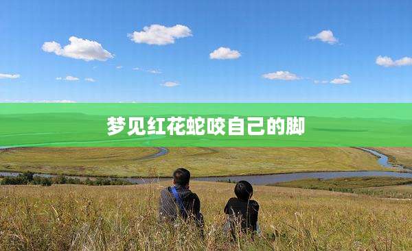 梦见红花蛇咬自己的脚