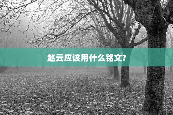 赵云应该用什么铭文?