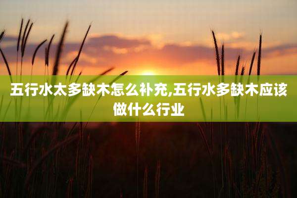 五行水太多缺木怎么补充,五行水多缺木应该做什么行业