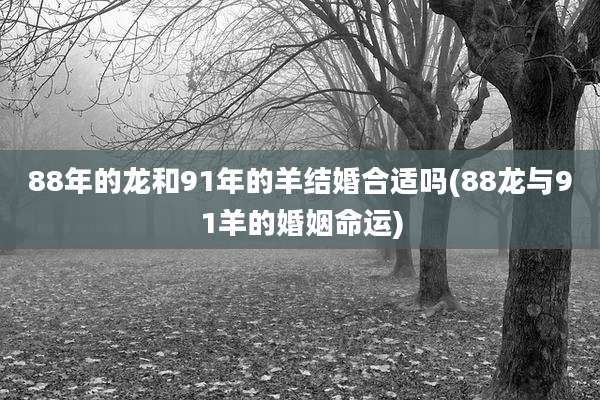 88年的龙和91年的羊结婚合适吗(88龙与91羊的婚姻命运)