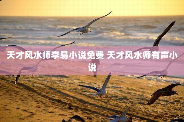 天才风水师李易小说免费 天才风水师有声小说