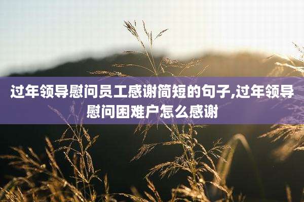 过年领导慰问员工感谢简短的句子,过年领导慰问困难户怎么感谢