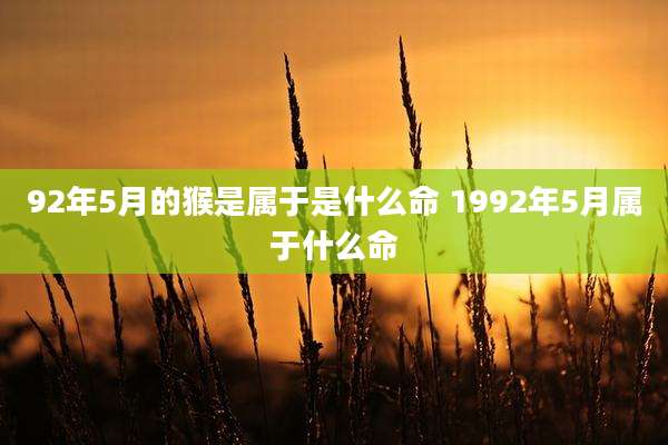 92年5月的猴是属于是什么命 1992年5月属于什么命
