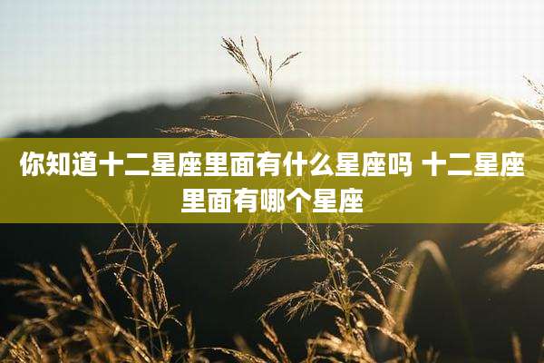 你知道十二星座里面有什么星座吗 十二星座里面有哪个星座