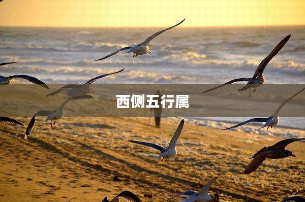 西侧五行属