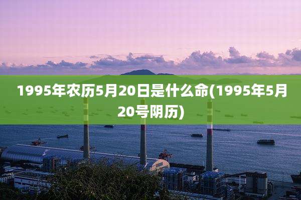 1995年农历5月20日是什么命(1995年5月20号阴历)