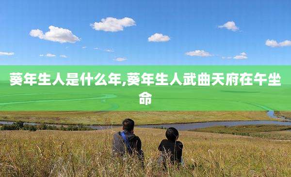 葵年生人是什么年,葵年生人武曲天府在午坐命
