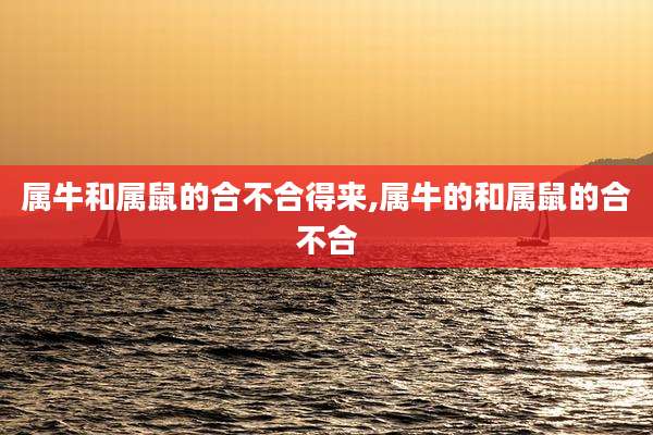 属牛和属鼠的合不合得来,属牛的和属鼠的合不合