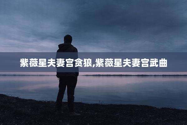 紫薇星夫妻宫贪狼,紫薇星夫妻宫武曲