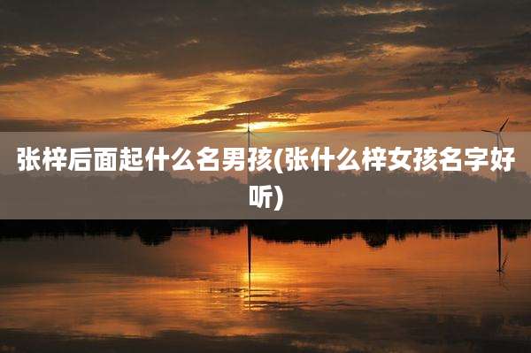 张梓后面起什么名男孩(张什么梓女孩名字好听)