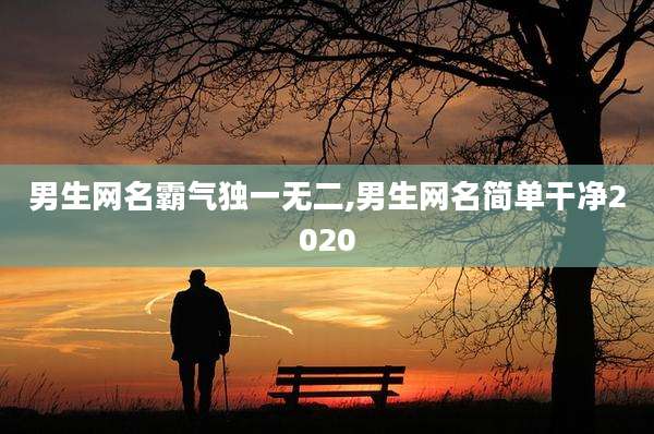 男生网名霸气独一无二,男生网名简单干净2020