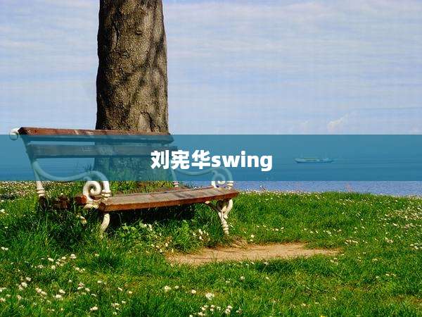 刘宪华swing