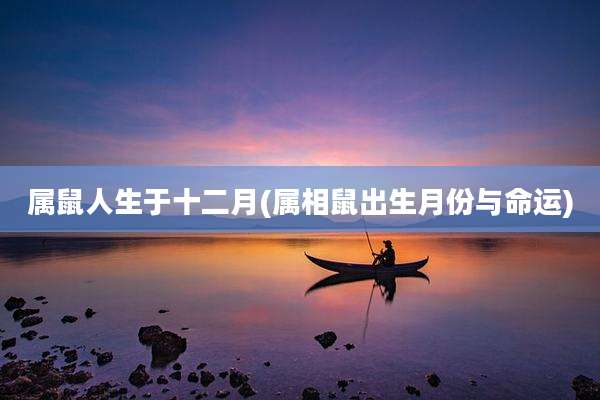 属鼠人生于十二月(属相鼠出生月份与命运)
