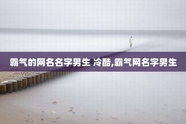 霸气的网名名字男生 冷酷,霸气网名字男生