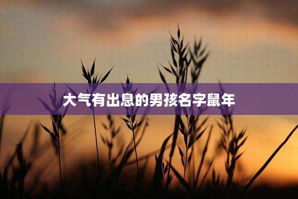 大气有出息的男孩名字鼠年