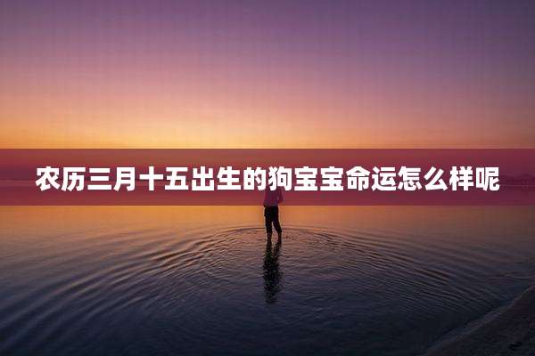 农历三月十五出生的狗宝宝命运怎么样呢