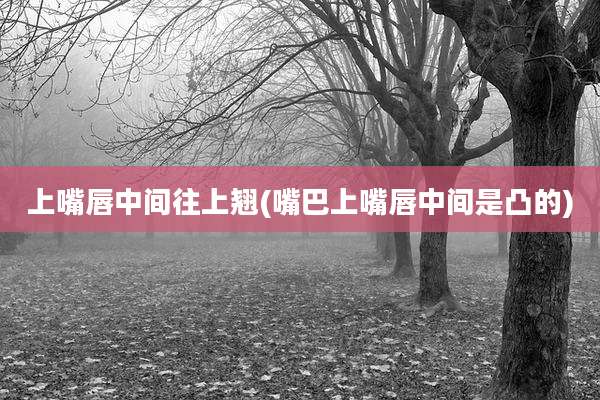 上嘴唇中间往上翘(嘴巴上嘴唇中间是凸的)