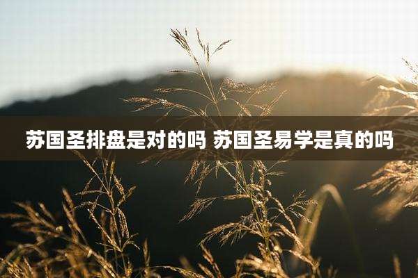 苏国圣排盘是对的吗 苏国圣易学是真的吗
