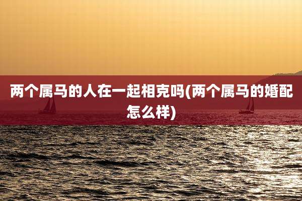 两个属马的人在一起相克吗(两个属马的婚配怎么样)