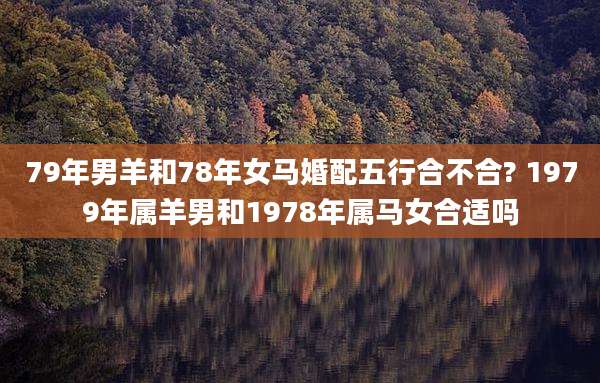79年男羊和78年女马婚配五行合不合? 1979年属羊男和1978年属马女合适吗