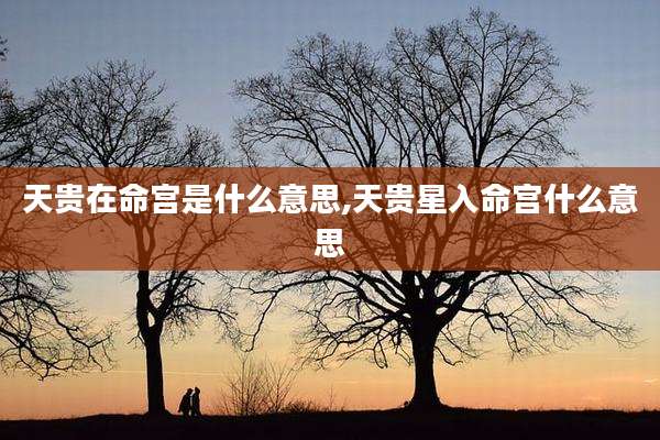 天贵在命宫是什么意思,天贵星入命宫什么意思