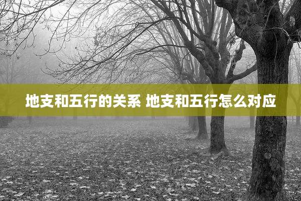 地支和五行的关系 地支和五行怎么对应