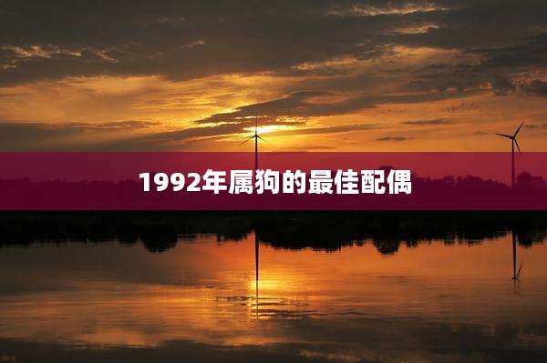 1992年属狗的最佳配偶