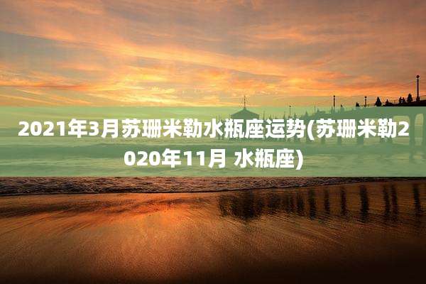 2021年3月苏珊米勒水瓶座运势(苏珊米勒2020年11月 水瓶座)