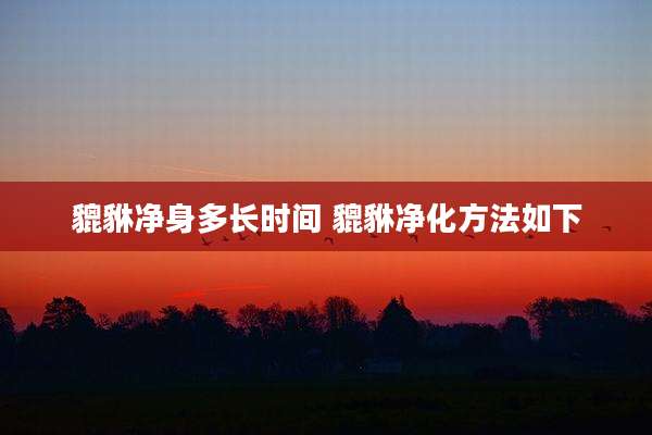 貔貅净身多长时间 貔貅净化方法如下