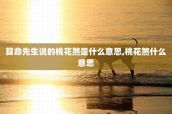算命先生说的桃花煞是什么意思,桃花煞什么意思