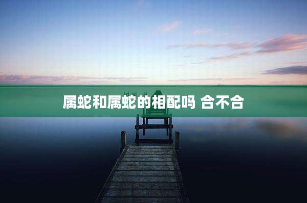 属蛇和属蛇的相配吗 合不合