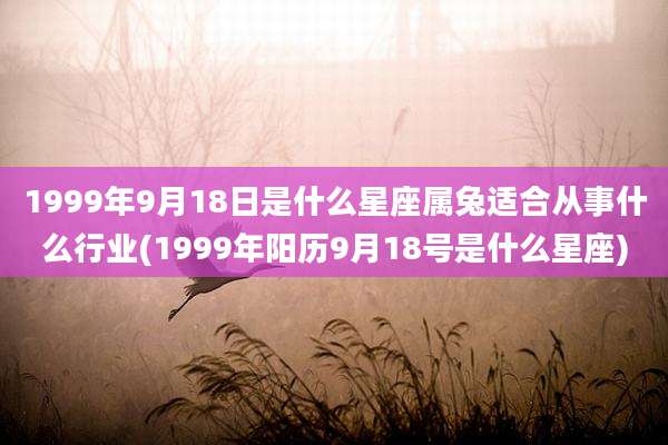 1999年9月18日是什么星座属兔适合从事什么行业(1999年阳历9月18号是什么星座)