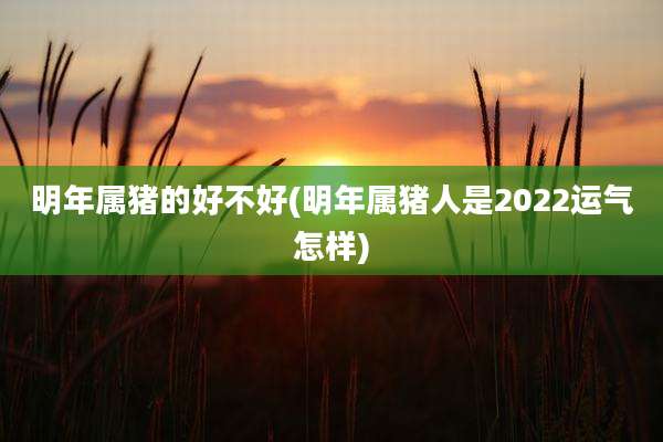 明年属猪的好不好(明年属猪人是2022运气怎样)